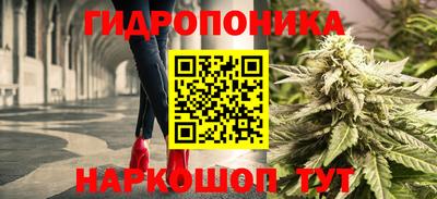 дживик Обь