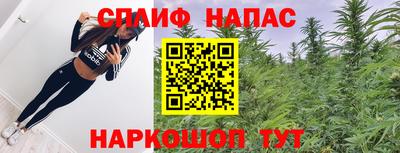 дживик Обь