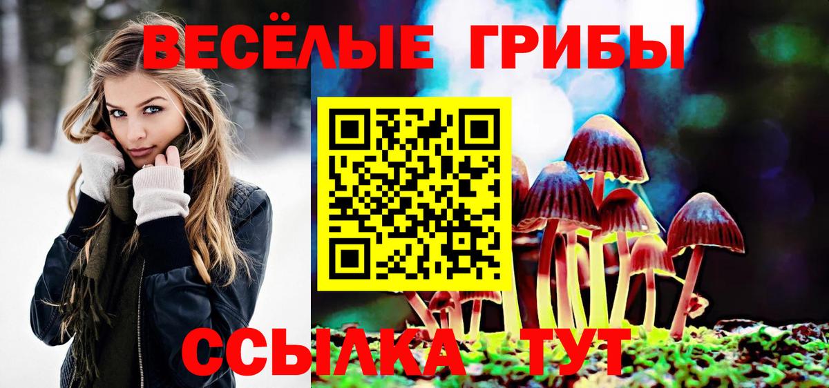 Тосно  Галлюциногенные грибы мицелий  Вход с VPN 