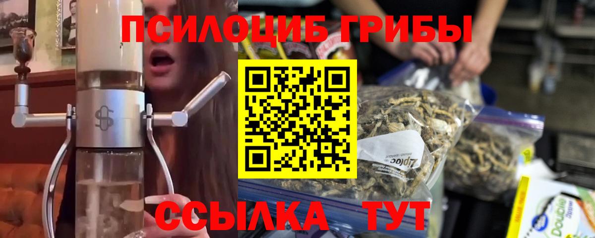 Галлюциногенные грибы ЛСД Тосно